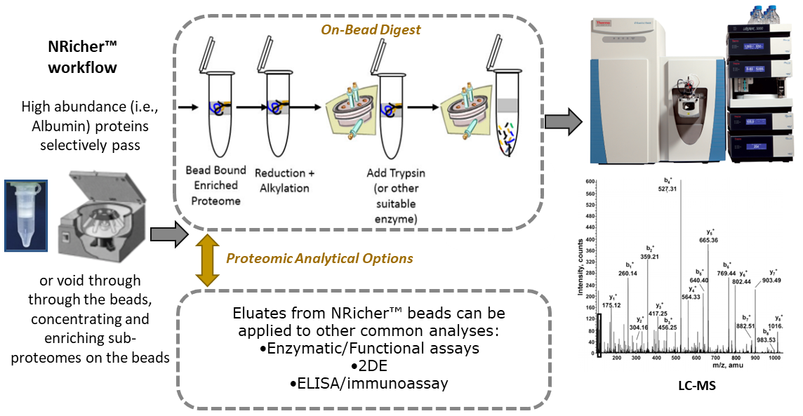 BSG Highlights from US HUPO 2024 and MSACL 2024